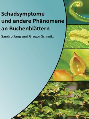 cover image of Schadsymptome und andere Phänomene an Buchenblättern